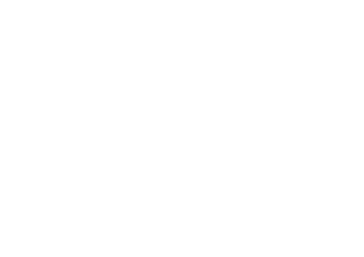 Plany Gdanska Logo